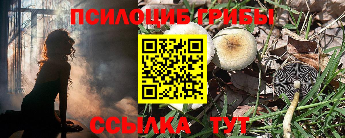 где купить наркоту  Галлюциногенные грибы MAGIC MUSHROOMS  Кунгур  Вход с VPN  Галлюциногенные грибы ЛСД 