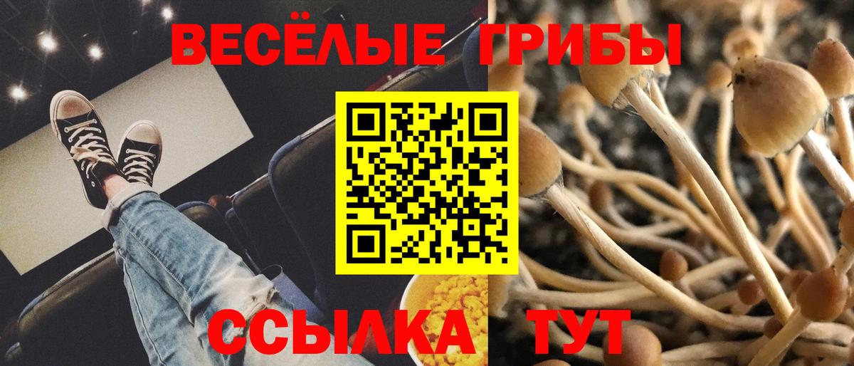 Псилоцибиновые грибы Кунгур
