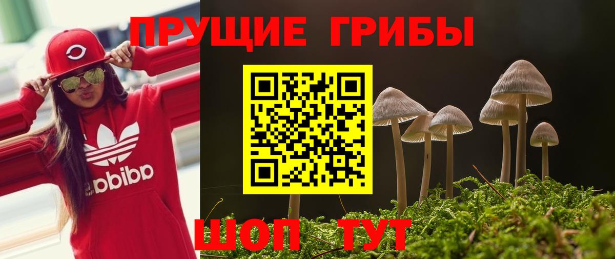 Галлюциногенные грибы GOLDEN TEACHER Кунгур